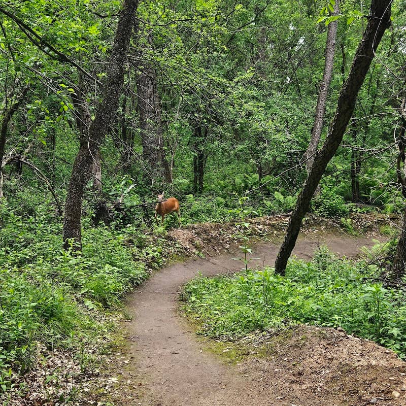 Willow River Mountain Biking Trailhead - Image 2
