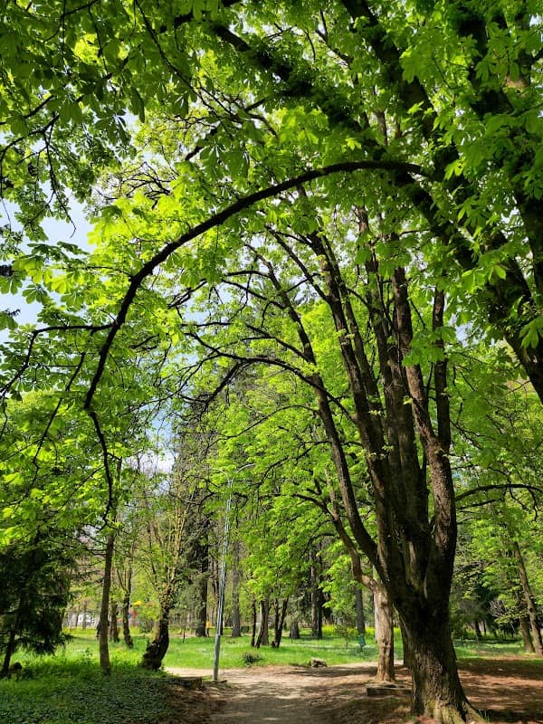 Park Karagaç - Image 2