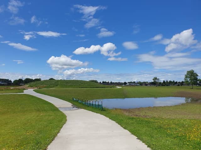Mangaiti Park Recreation Reserve - Image 1
