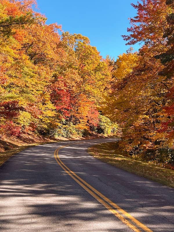 Blue Ridge Parkway - Highway 221/321 Access Point - Image 2