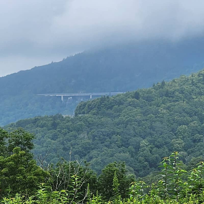 Blue Ridge Parkway - Highway 221/321 Access Point - Image 1