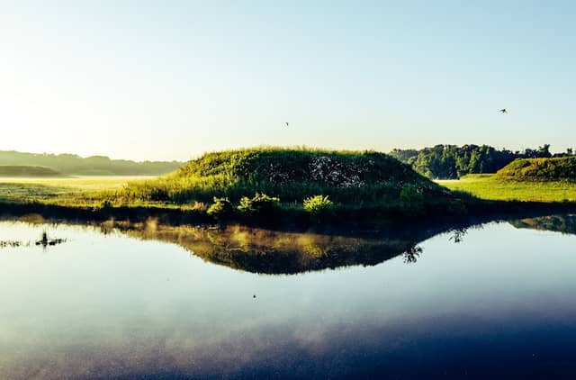 Moundville Archaeological Park - Image 1