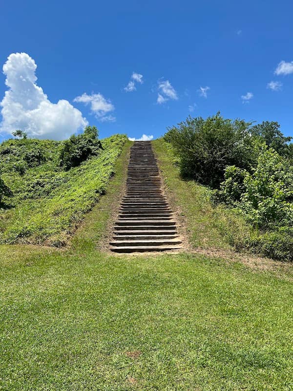 Moundville Archaeological Park - Image 3