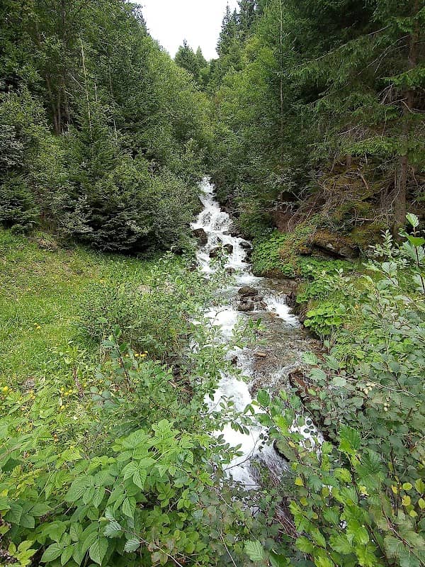 Mühle am Pfoner Bach - Image 2