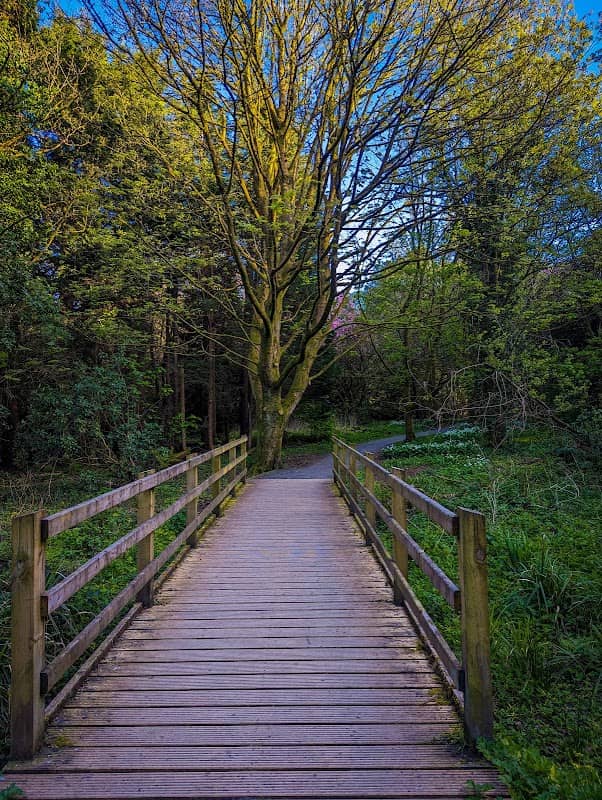 Coleraine Campus Trail - Image 1