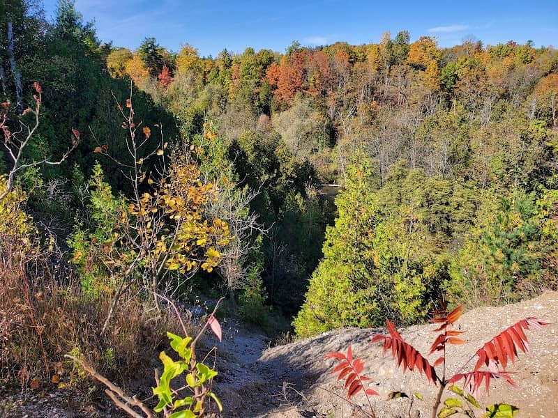 Greenwood Conservation Area - Image 1