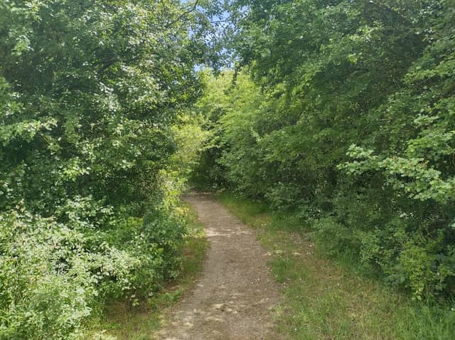 Kirby's Nature Area - Image 1