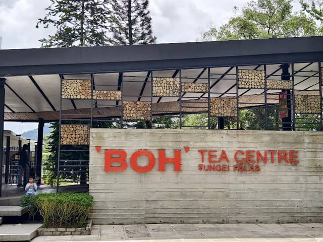 BOH Viewpoint - Image 1