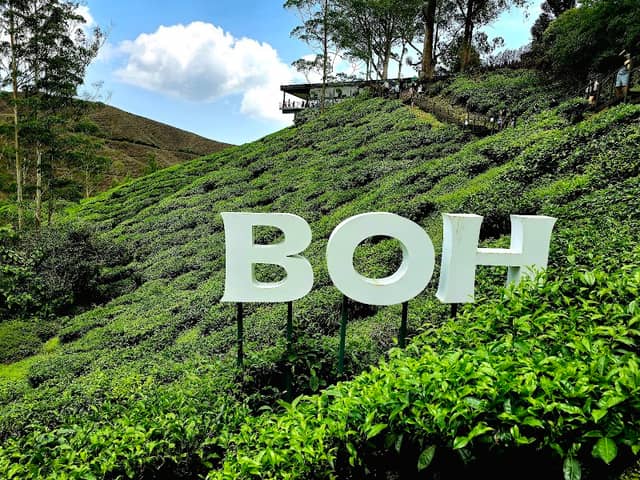 BOH Viewpoint - Image 2