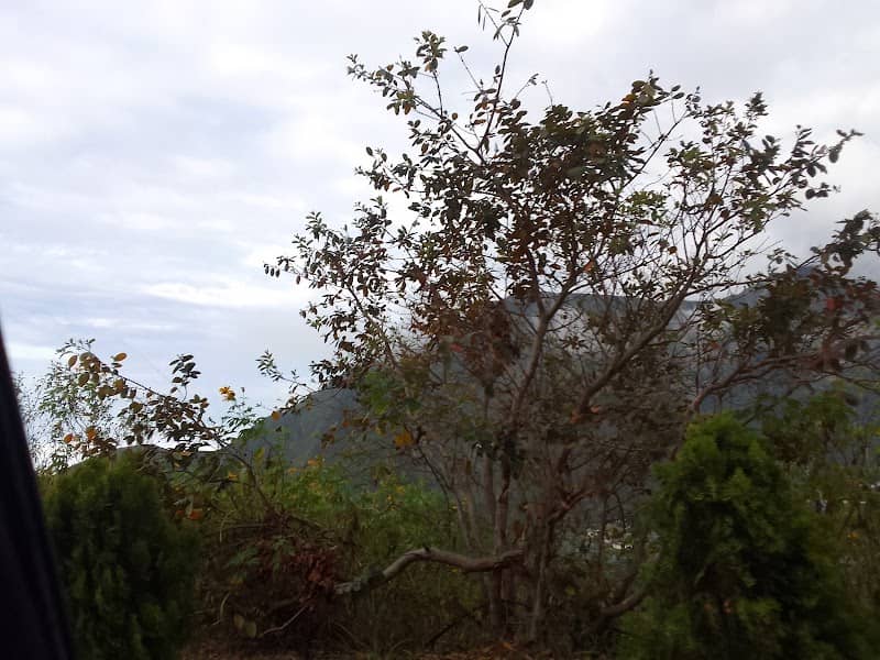 Galipan - Image 1