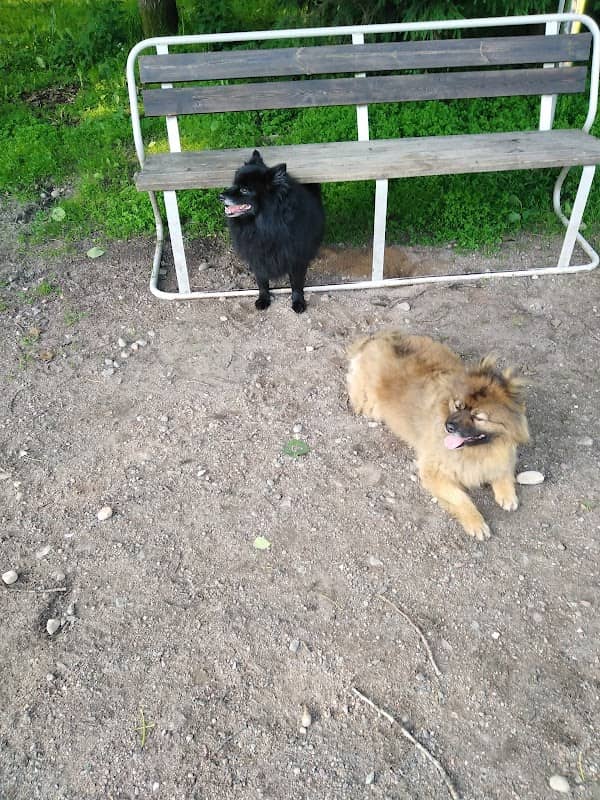 Pargas dog park - Image 1