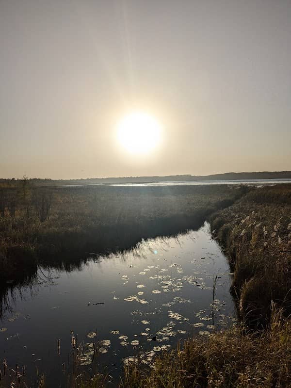 Mission Lake Wildlife Management Area - Image 1
