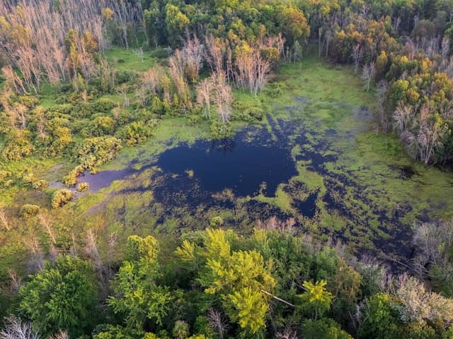 Thorp Pond State Natural Area - Image 1