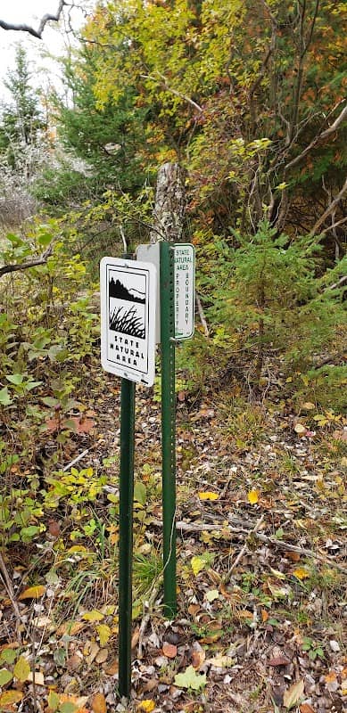 Thorp Pond State Natural Area - Image 2