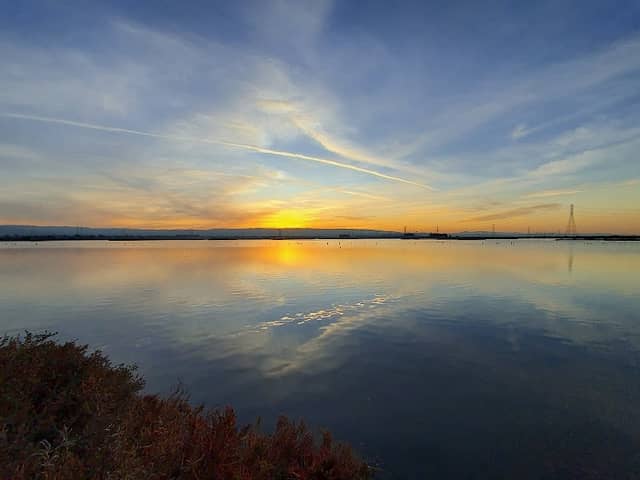 Don Edwards San Francisco Bay National Wildlife Refuge - Ravenswood - Image 2
