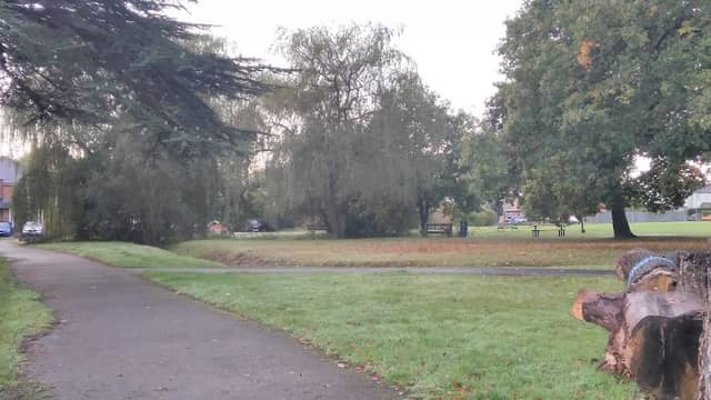 Bisley Duck Pond - Image 1