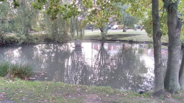 Bisley Duck Pond - Image 2