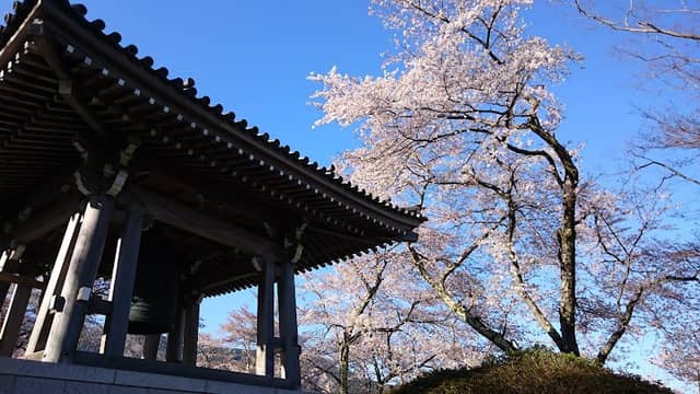 Sakura Park - Image 3
