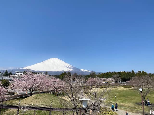 Sakura Park - Image 2