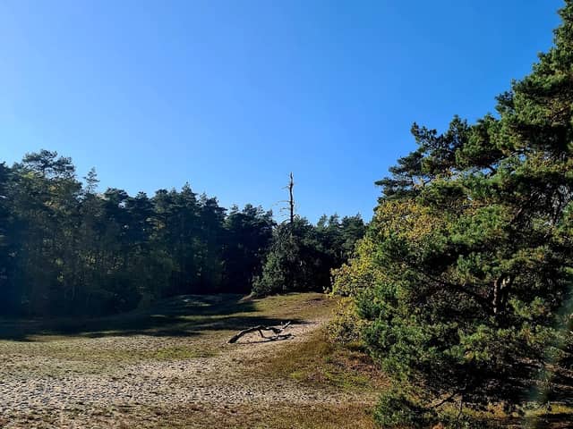 Dunes at Neumühlen - Image 1