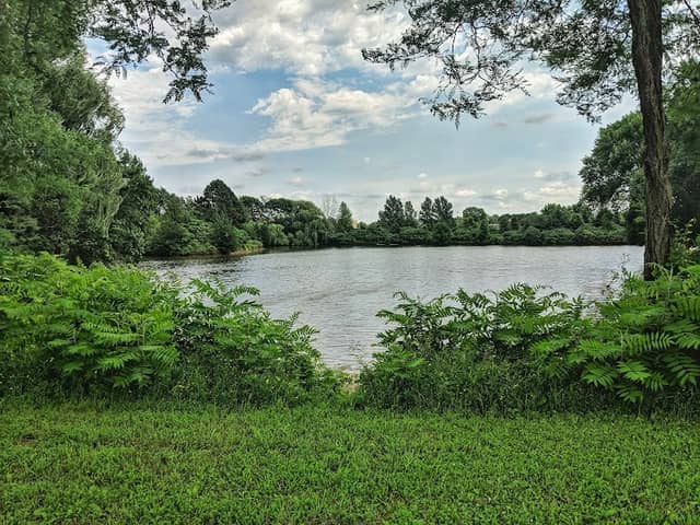 Lake Dorothy - Image 1