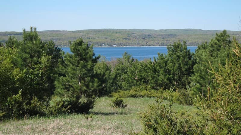 The Hill Nature Preserve - Image 2