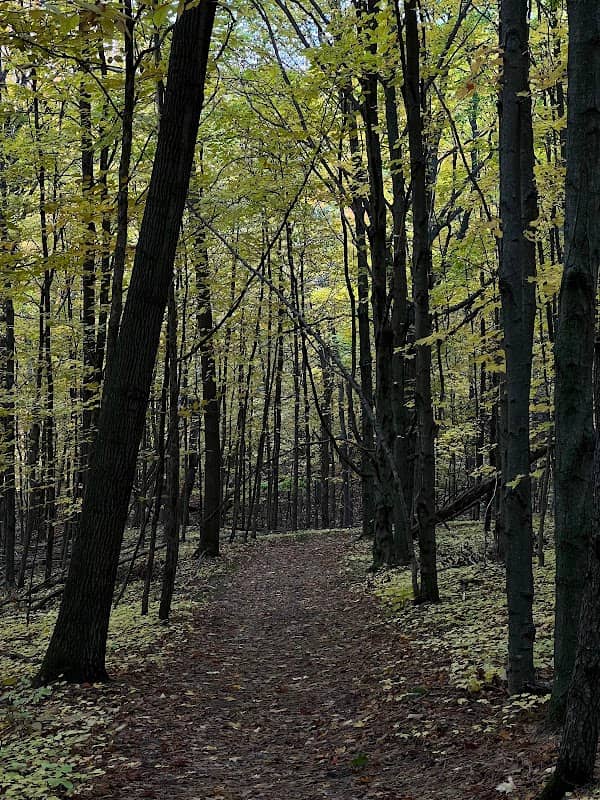 The Hill Nature Preserve - Image 1