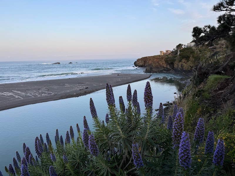 Gualala Bluff Trail - Image 3
