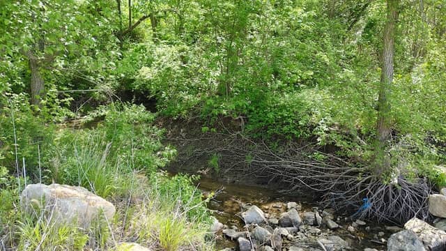 Helland Park - Image 2