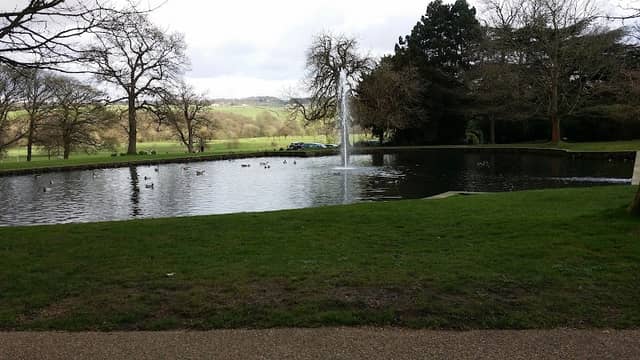 L Alston - Image 2