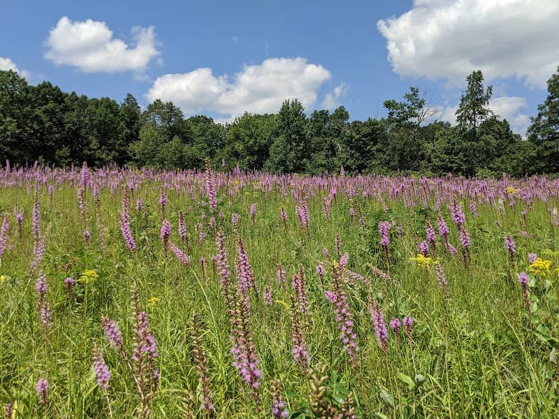 Chapparal Prairie State Nature Preserve - Image 2