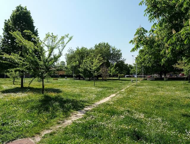 Parco Luce - Image 2
