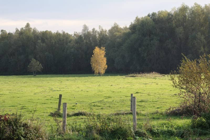 Hedelse Bovenwaard - Image 1