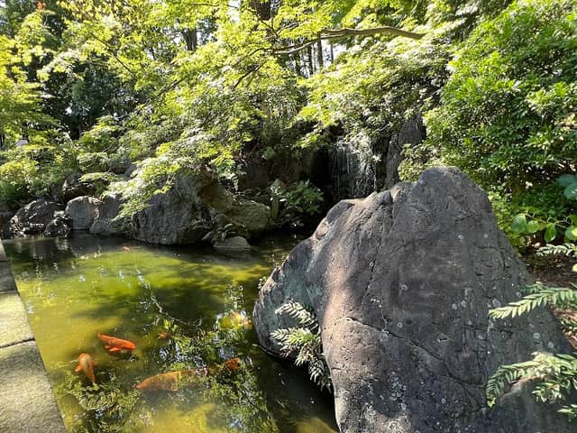 弁天池 - Image 2
