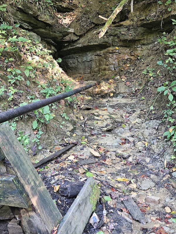 Local Spring - Image 3