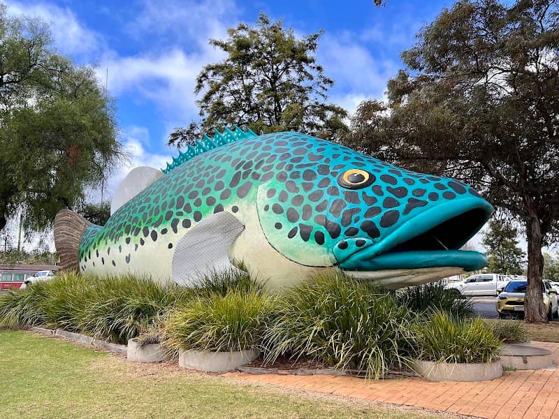 The Giant Murray Cod - Image 1
