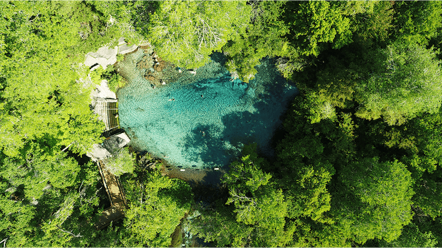 Ichetucknee Park South Entrance - Image 1