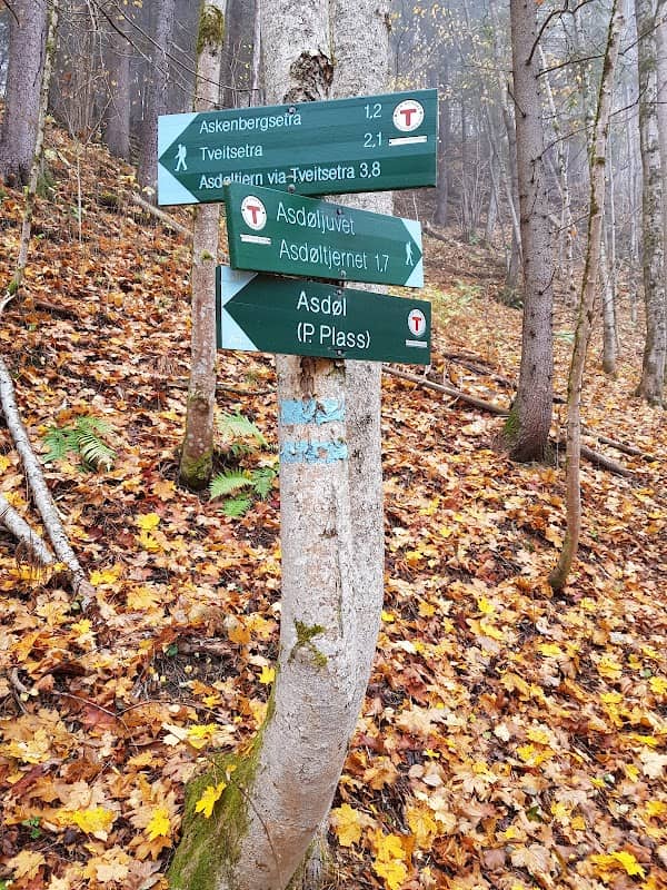 Asdøljuvet Nature Preserve - Image 2