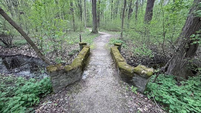 Pearson park - Image 2