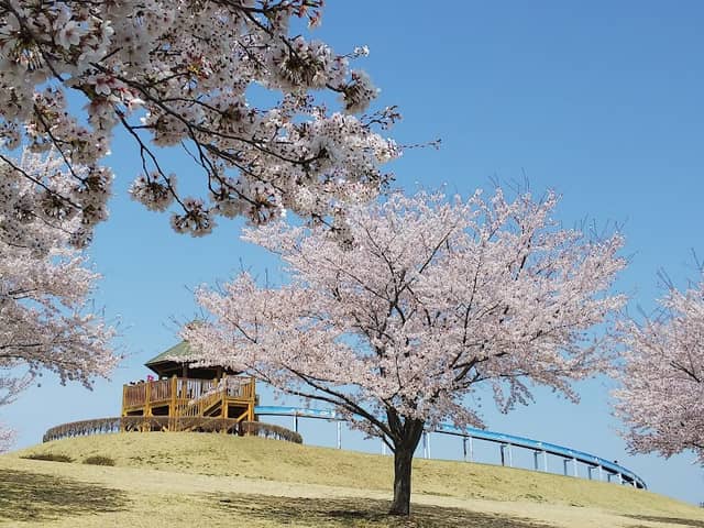 Daiichi Sankyo Nakasato Park - Image 1