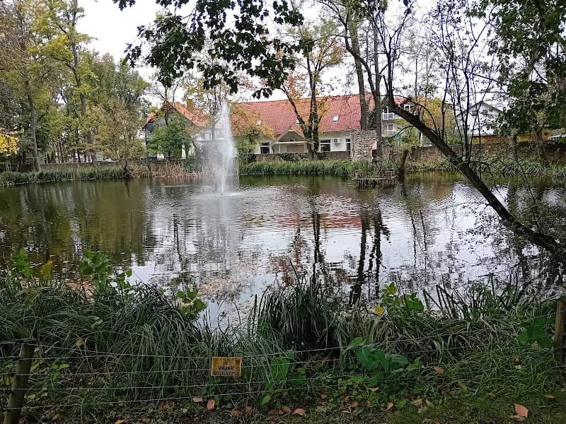 Staw Koronny - Image 1