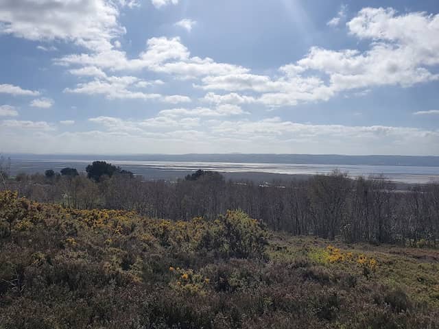 Cleaver Heath Nature Reserve - Image 2