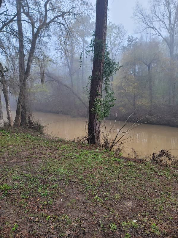 Omussee Creek Park - Image 2