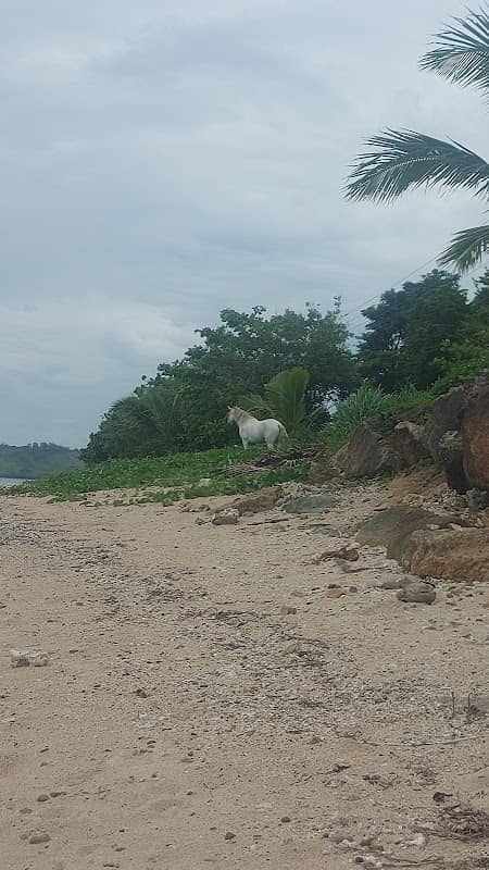 Korotogo beach - Image 2