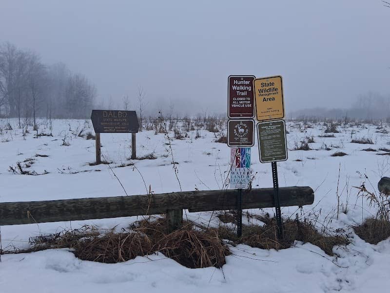 Dalbo Wildlife Management Area - Main Unit - Image 2