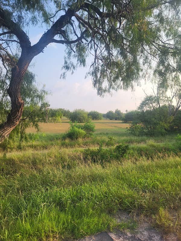 Monte Bella Trails Park - Image 2
