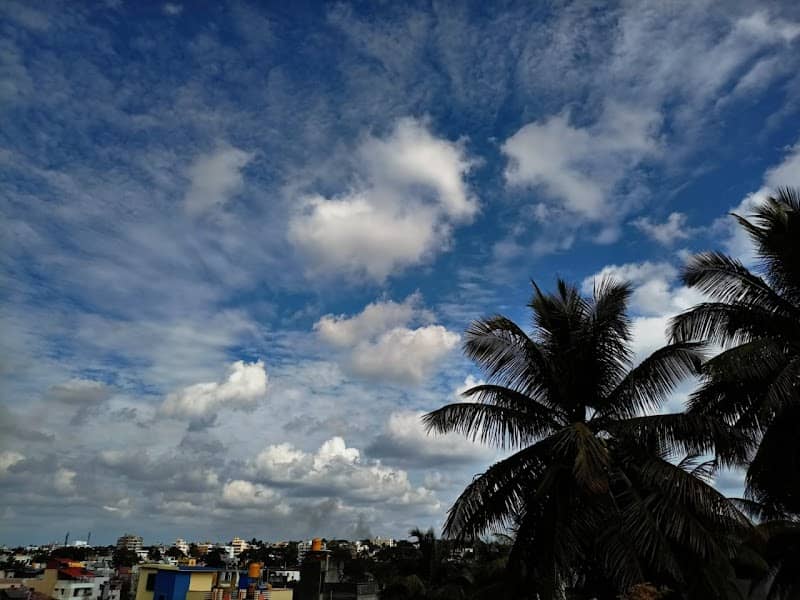 Samarth Colony Children's Park - Image 2