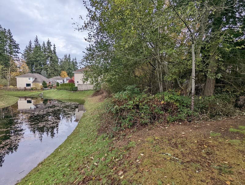 Chatham Park Pond - Image 1