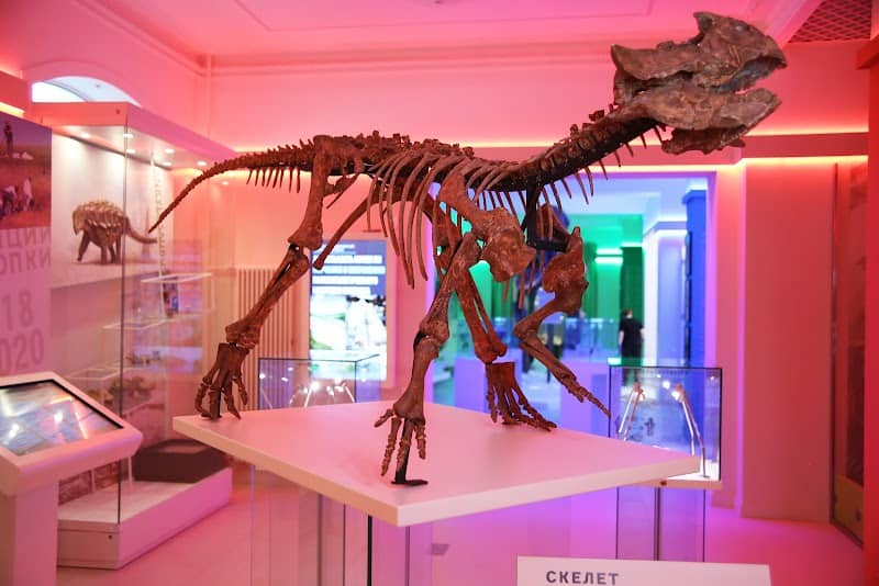 Kemerovo Regional Museum - Image 1