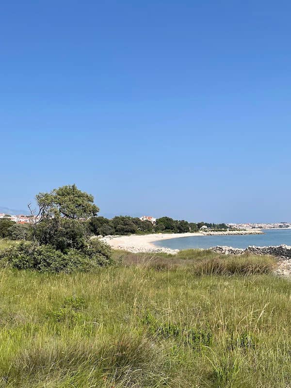 Dino beach - Image 2